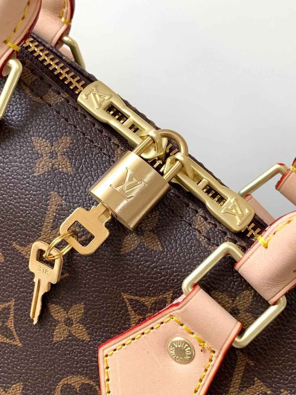 Louis Vuitton Speedy Bandouliere 25